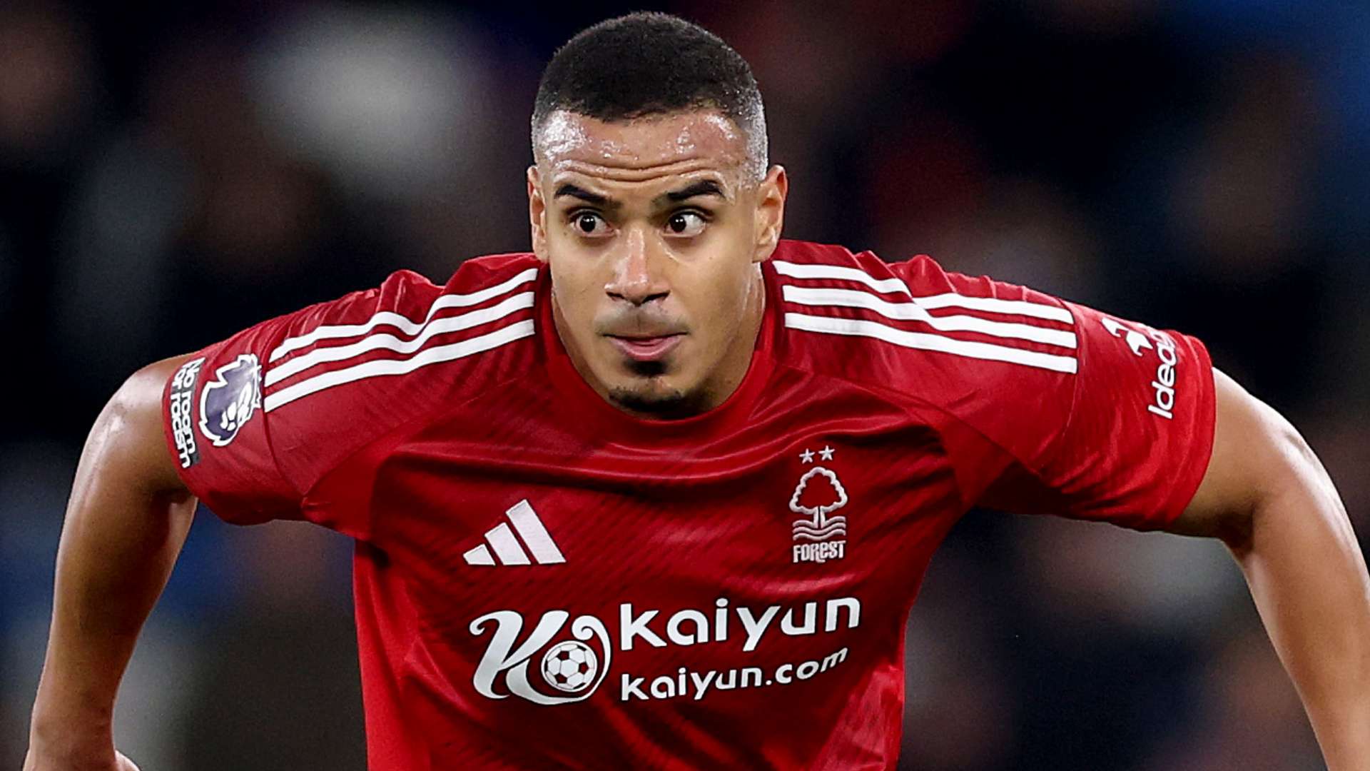 护裁判的合 护裁判的合